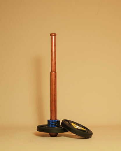 Travelling Stick